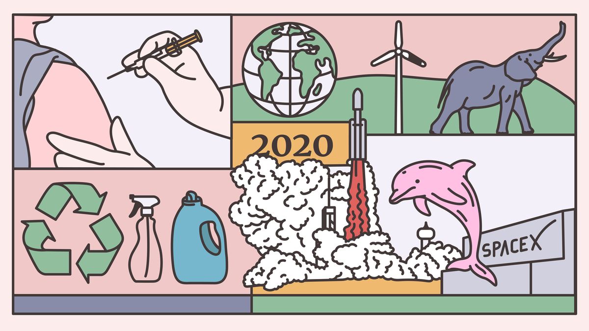 Dobré zprávy roku 2020: Léčíme nevyléčitelné, šanci dostala planeta